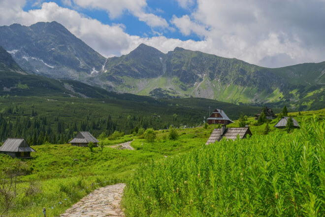 Ochrona środowiska